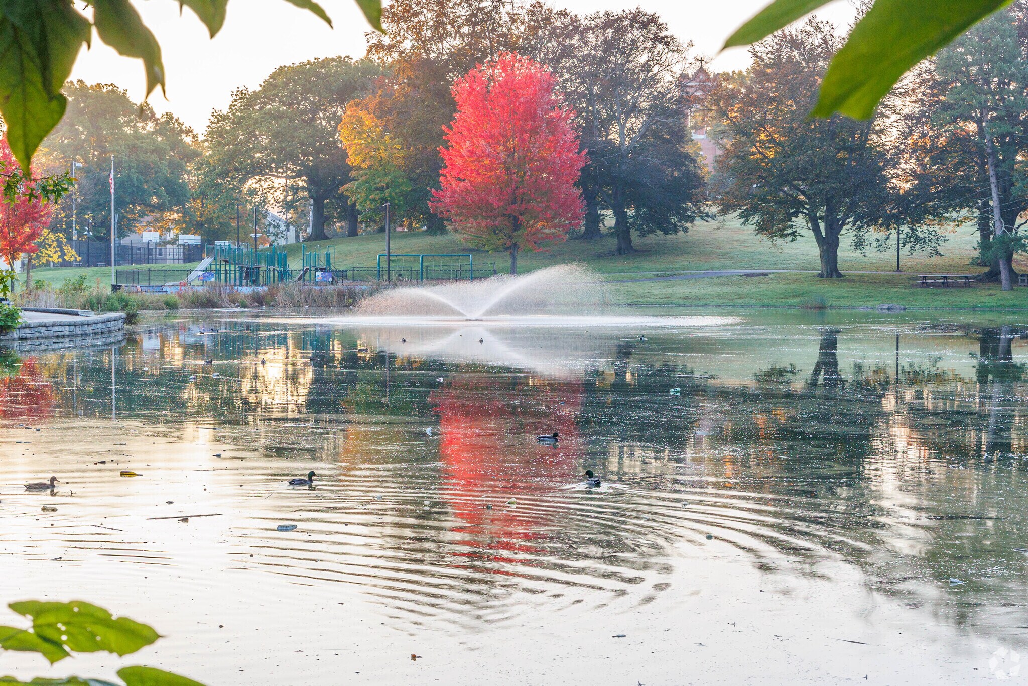 university-park-worcester-ma-4