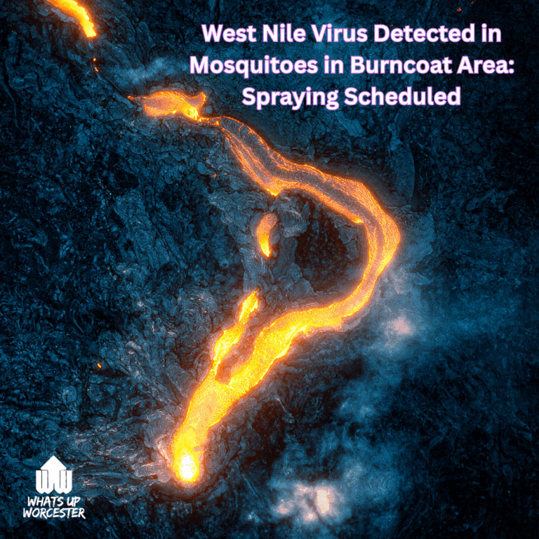 Whatsupworcester.com (4)